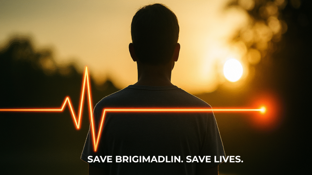 Save Brigimadlin banner image